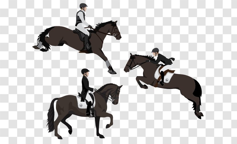 Horse - Mane - Show Jumping Reining Transparent PNG