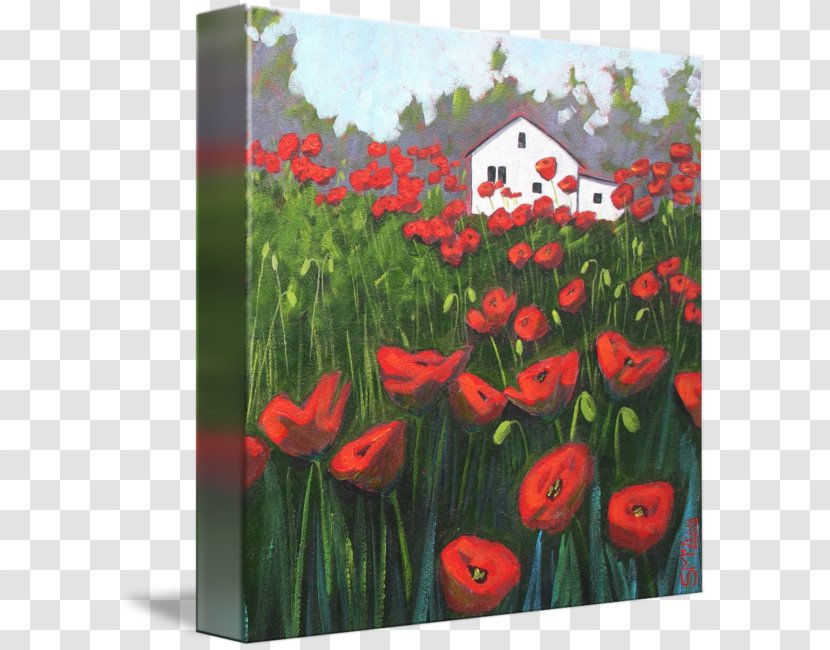 Tulip Painting Acrylic Paint Gallery Wrap - Poppy Field Transparent PNG