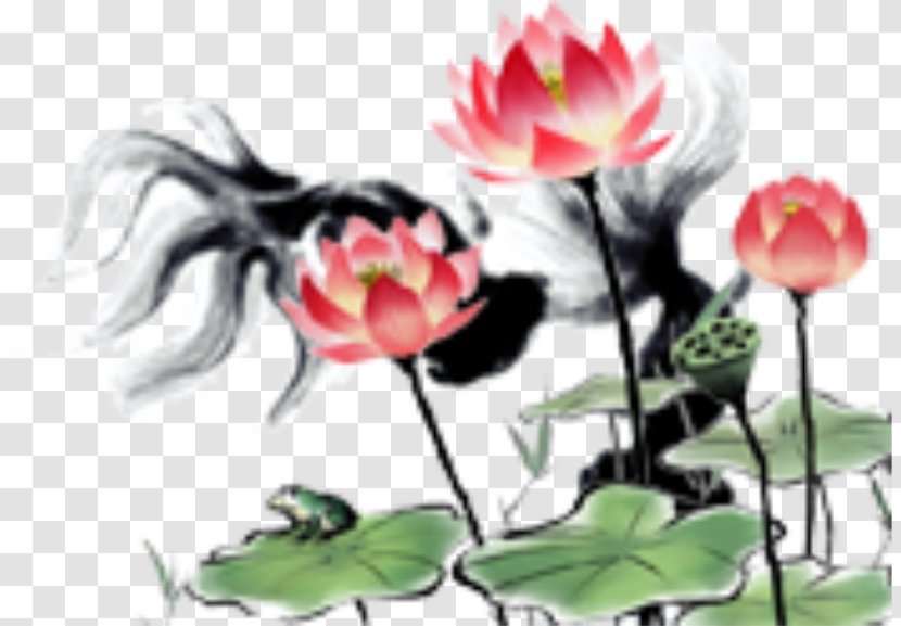 Nelumbo Nucifera Ink Wash Painting Gongbi - Petal - Lotus Transparent PNG