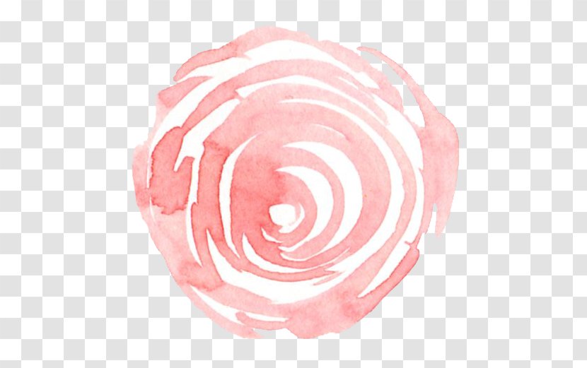 Rose Family Pink M Fahrenheit - Spiral - Beat Watercolor Transparent PNG