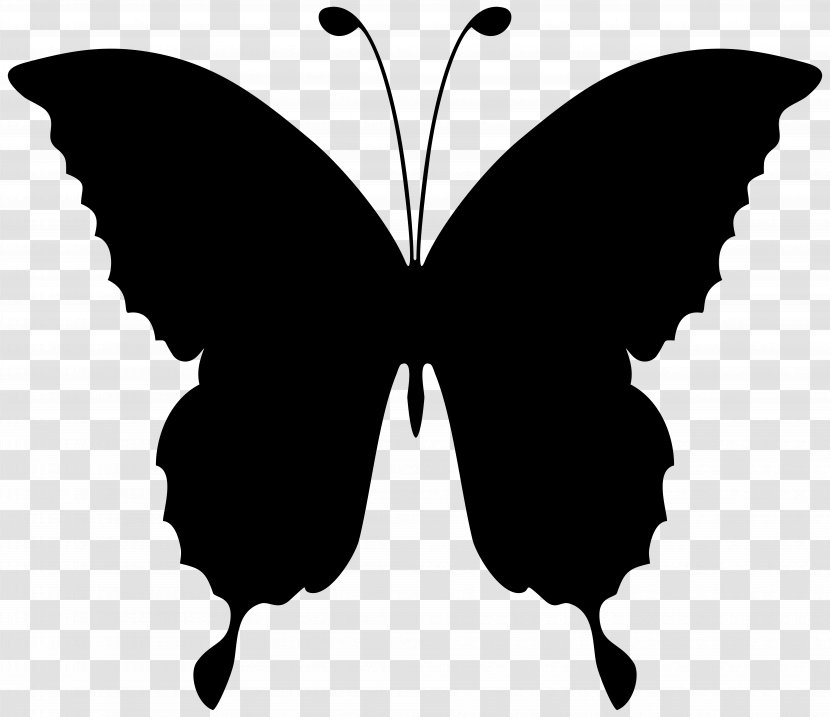Monarch Butterfly Vector Graphics Clip Art - Moths And Butterflies - Invertebrate Transparent PNG