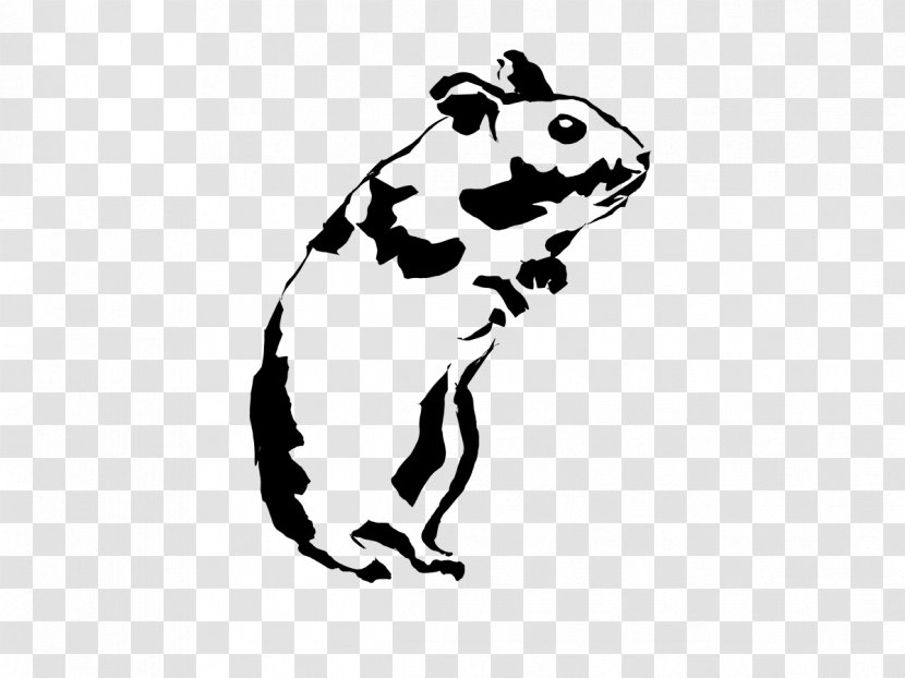 Hamster - Squirrel - Muroidea Whiskers Transparent PNG