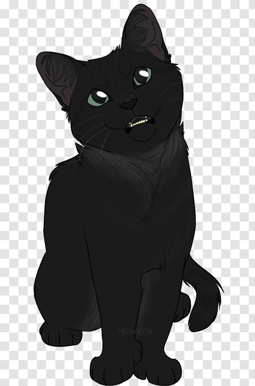 Black Cat Whiskers Domestic Short-haired Snout - Mammal - Cinnamon Roll Transparent PNG