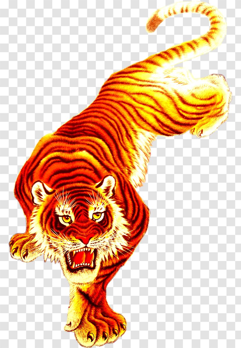 Tiger Flame Lion Tigon - Photography Transparent PNG