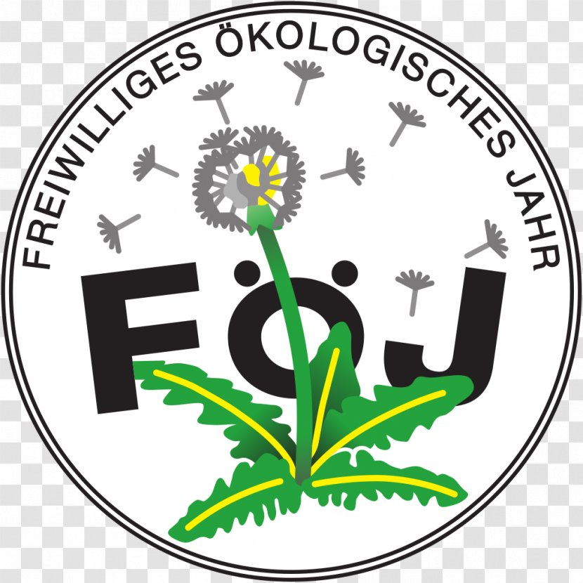 Voluntary Ecological Year Germany Freiwilligendienst Federal Volunteers Service Environmental Protection - Flowering Plant - Hannover 96 Logo Transparent PNG