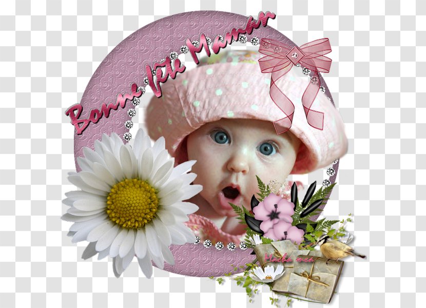 Transvaal Daisy Infant Headgear Pink M - Macha Transparent PNG