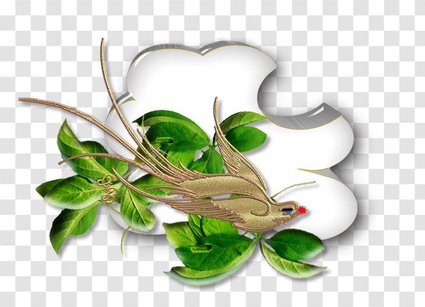Leaf Pollinator - Organism Transparent PNG