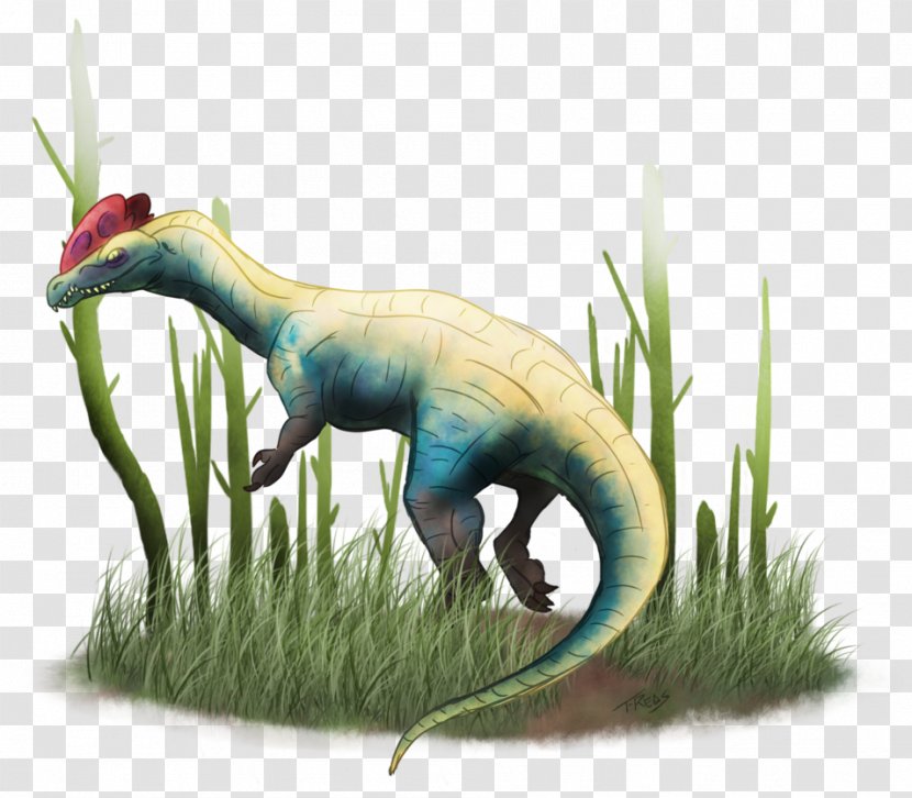 Dilophosaurus Primal Carnage: Extinction Dinosaur ARK: Survival Evolved - Terrestrial Animal - Carnage Transparent PNG