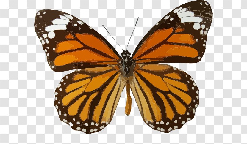 Monarch Butterfly Insect Clip Art - Wing Transparent PNG