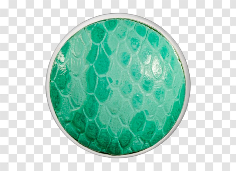 Green Silver Snake Turquoise Coin Transparent PNG