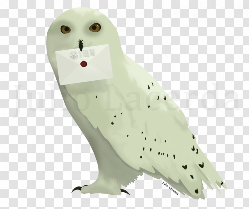 Owl Harry Potter And The Deathly Hallows Hogwarts Hedwig - Beak - Post It Transparent PNG