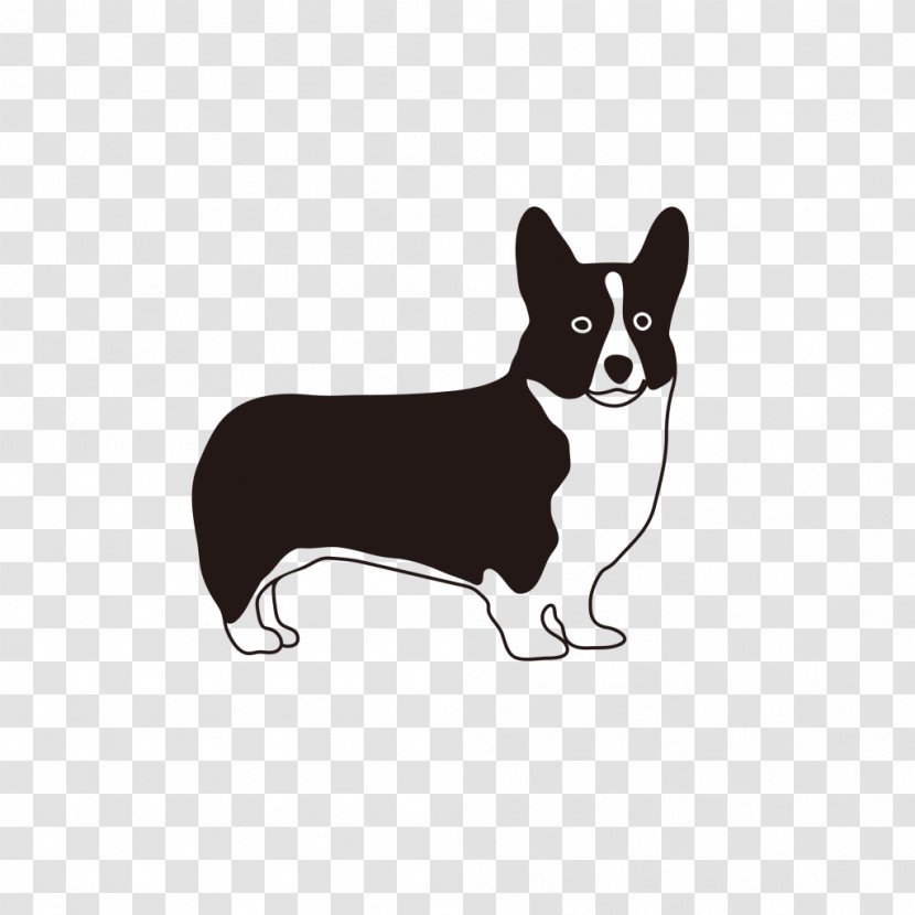Chihuahua Pembroke Welsh Corgi Puppy Companion Dog Breed - Tail Transparent PNG