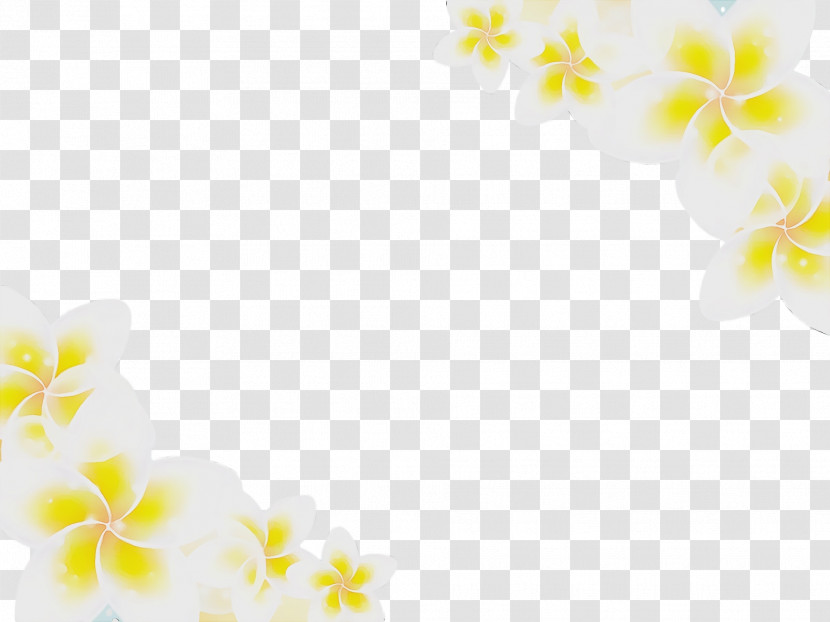 Moth Orchids Yellow Orchids Transparent PNG