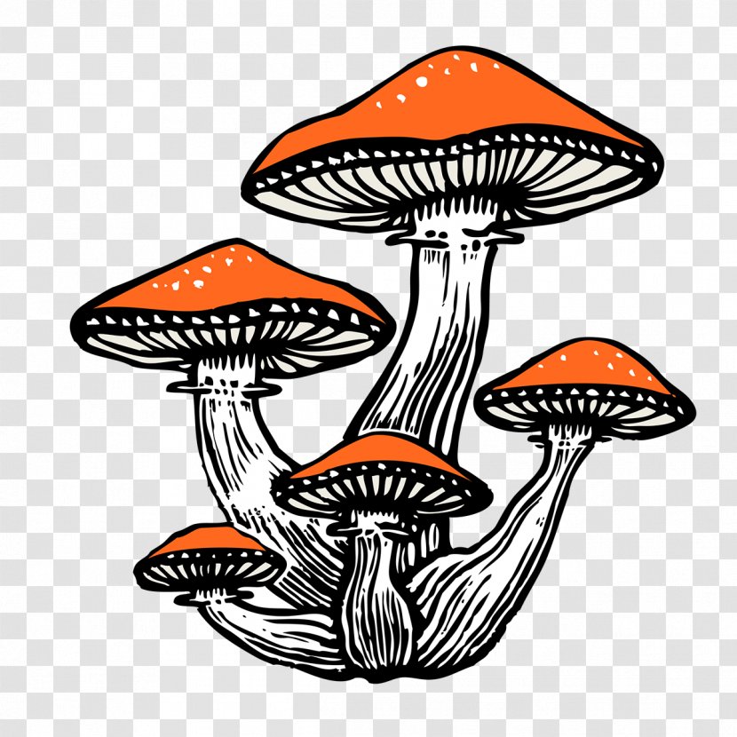 Orange - Mushroom - Edible Transparent PNG