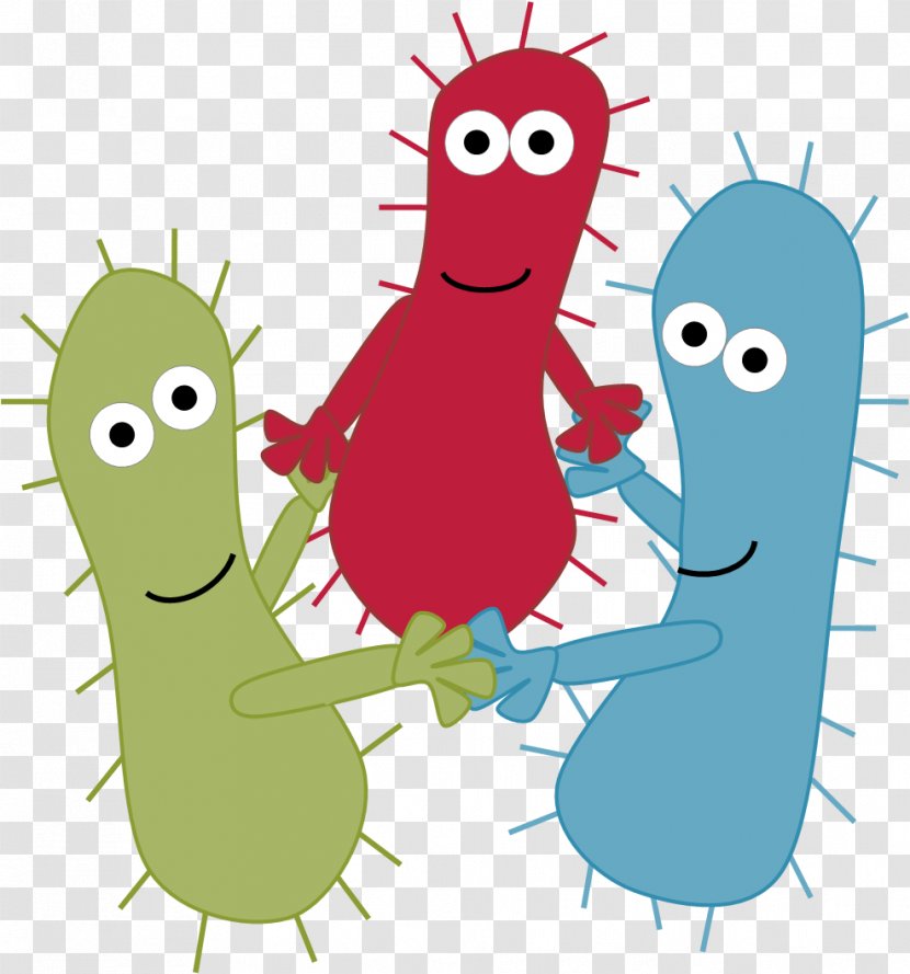 Quorum Sensing Bacteria Biofilm Infection - Cartoon - Expression Transparent PNG