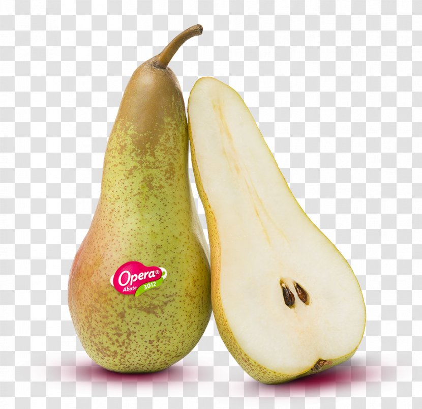Conference Pear Abate Fetel Fruit Abbot Transparent PNG