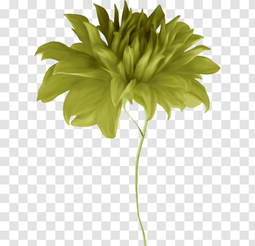 Chrysanthemum Cut Flowers Floral Design Petal - Artificial Flower - Leaves Vector Transparent PNG