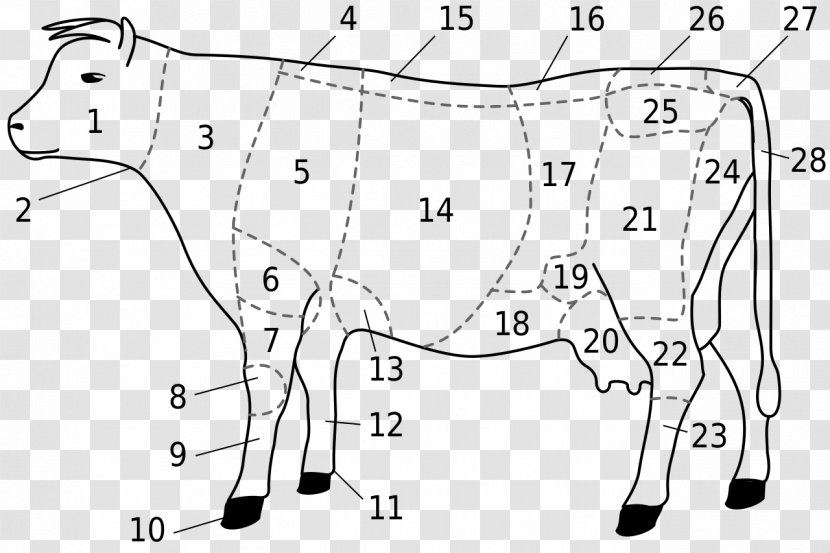Dairy Cattle Ox Goat Taurine Meat - Cartoon Transparent PNG