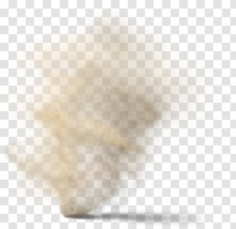 Snout Close-up Fur - Dust In The Wind Transparent PNG