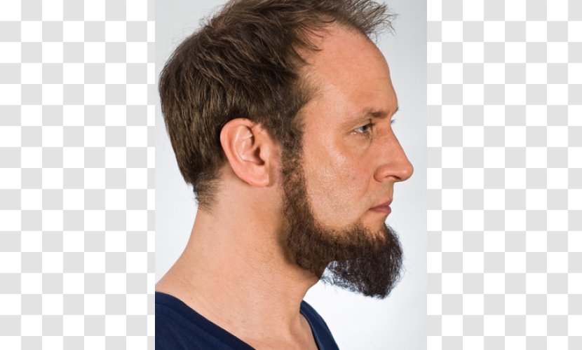 Beard Oil Cosmetics Sideburns Hair - Jaw Transparent PNG