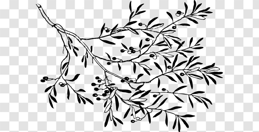 Olive Branch Clip Art - Monochrome - Tree Clipart Transparent PNG