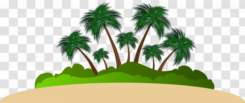 Arecaceae Logo Text Font Illustration - Island - Palm Clip Art Image Transparent PNG