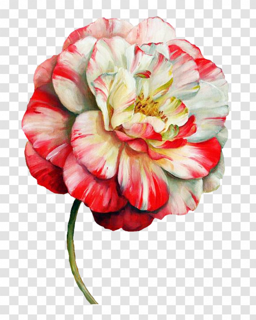Flower Paper Painting Floral Design Drawing - Petal - Paint Transparent PNG