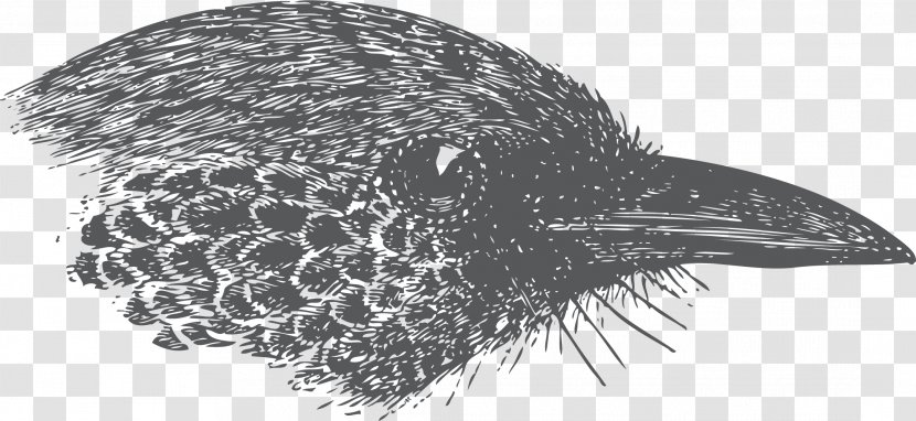 Bird Clip Art - Goose Head Transparent PNG