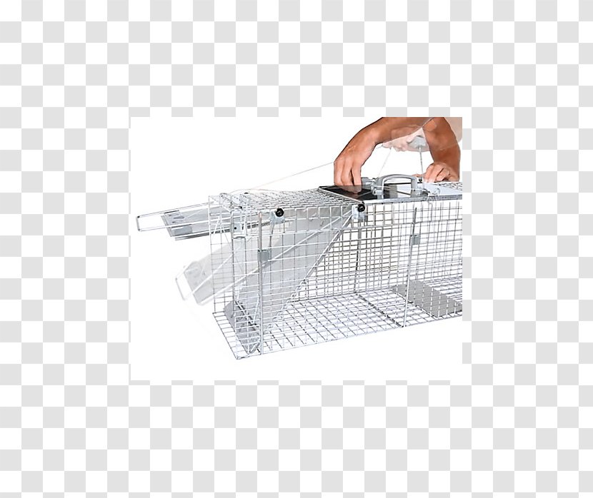Trapping Raccoon Cage Door Mousetrap - Mouse Trap Transparent PNG