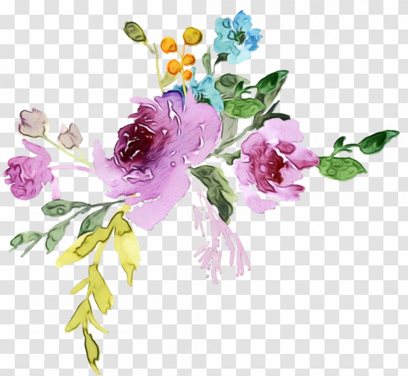 Watercolor Flower Background - Rose Family Rosa Dumalis Transparent PNG
