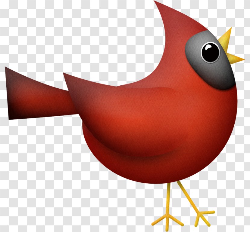 Cardinal Bird - Songbird - Perching Transparent PNG