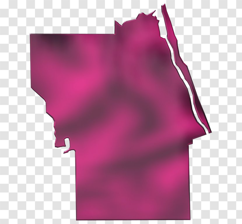 Rectangle Pink M - Petal - Angle Transparent PNG