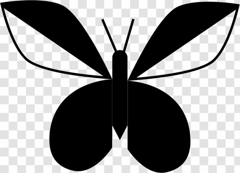Brush-footed Butterflies Butterfly Insect Symmetry Clip Art - Wing Transparent PNG