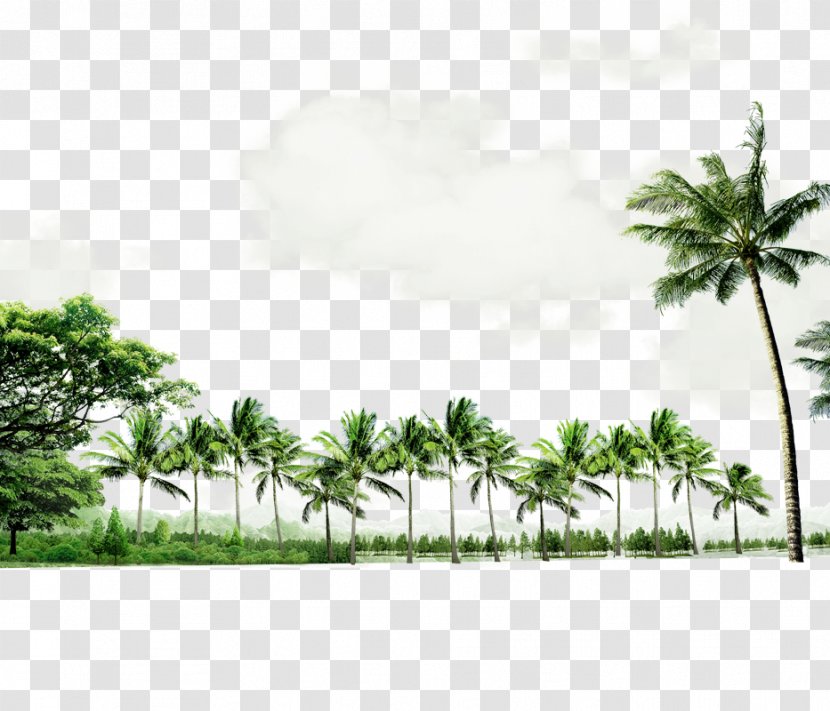 Beach Seaside Resort Download - Tree - Green Atmosphere Coconut Border Texture Transparent PNG
