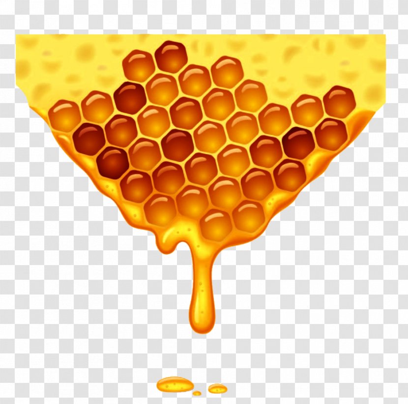 Honey Bee Honeycomb - Beekeeping - Vector Transparent PNG