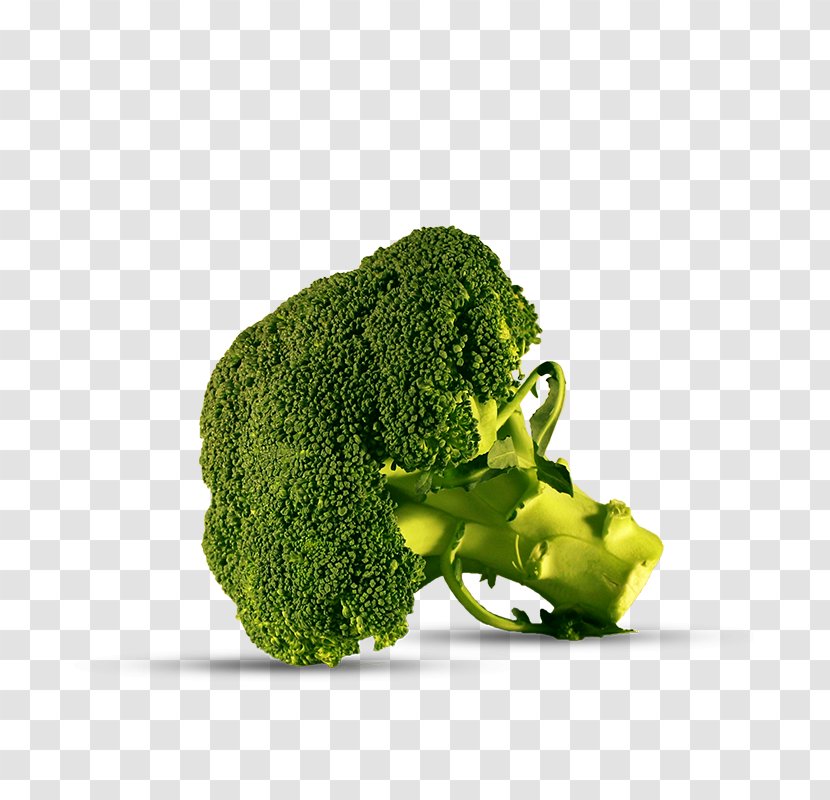 Broccoli Vegetable Brassica Oleracea Var. Italica Iceberg Lettuce Timon & Pumbaa Les Globe-Trotters - Gram Transparent PNG