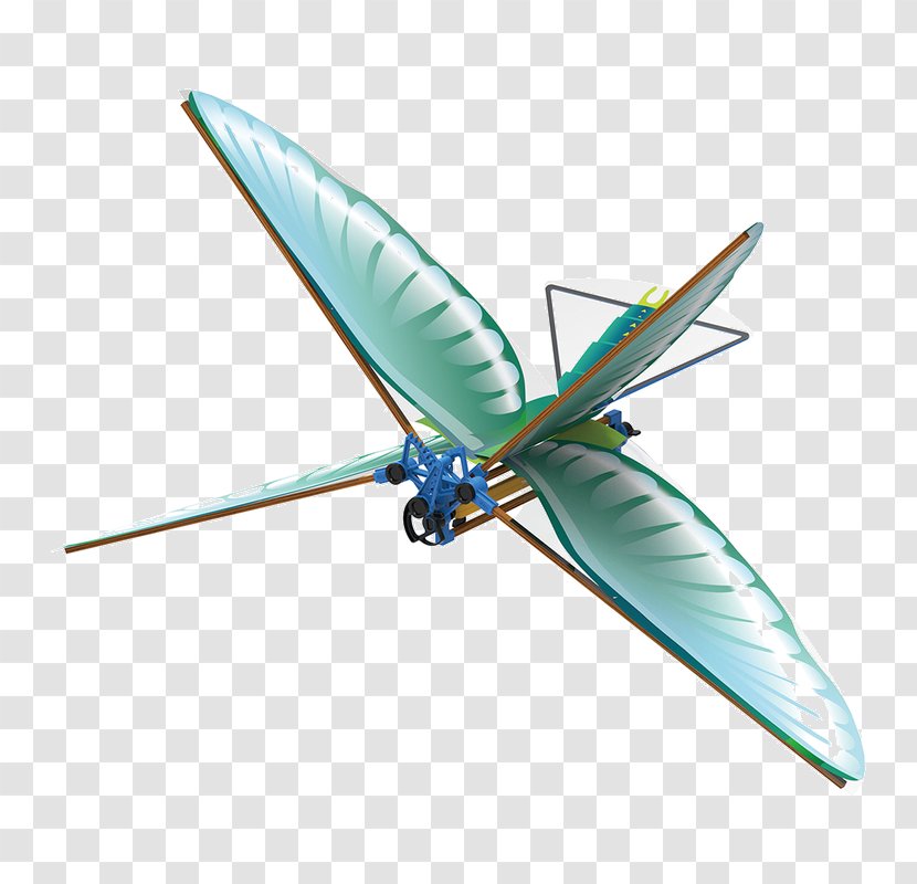 Insect Wing Ornithopter Bird Flight - Rubber Bands - Creative Birds Transparent PNG