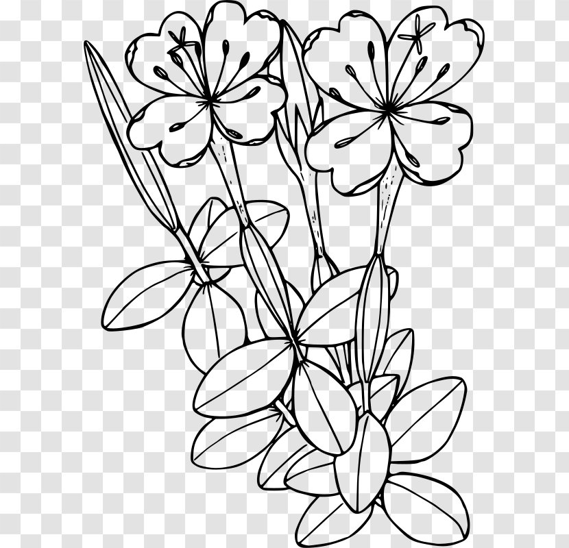 Coloring Book Floral Design Wildflower Clip Art - Plant - Flower ...