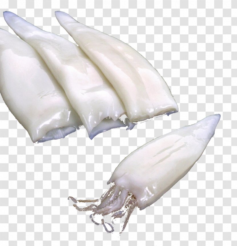 Squid Fish Products Transparent PNG