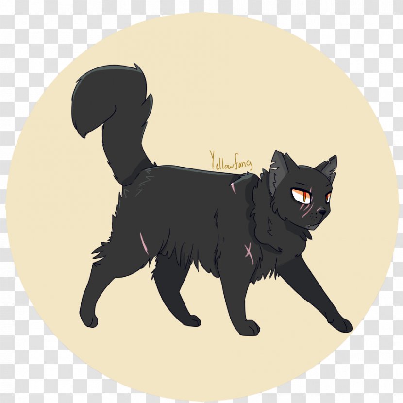 Black Cat Manx Kitten Whiskers Dog - Yellowfang's Secret Transparent PNG