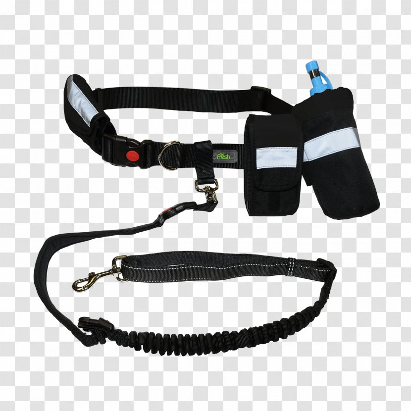 Belt Dog Collar Leash Harness - Bungee Cords - Freak On A Unplugged Transparent PNG