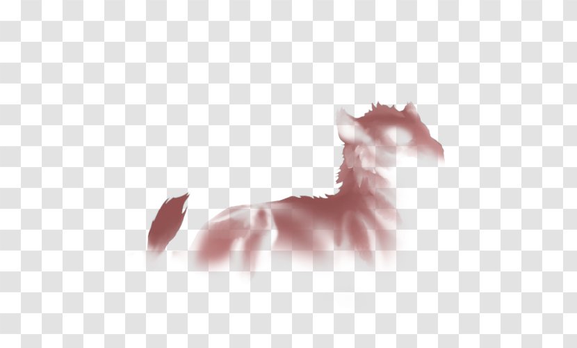 Whiskers Kitten Dog Snout Paw - Ear - Pride Of Lions Transparent PNG