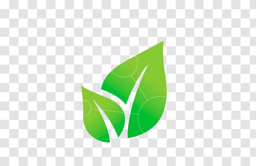 Logo Green Leaf Font Plant Transparent PNG