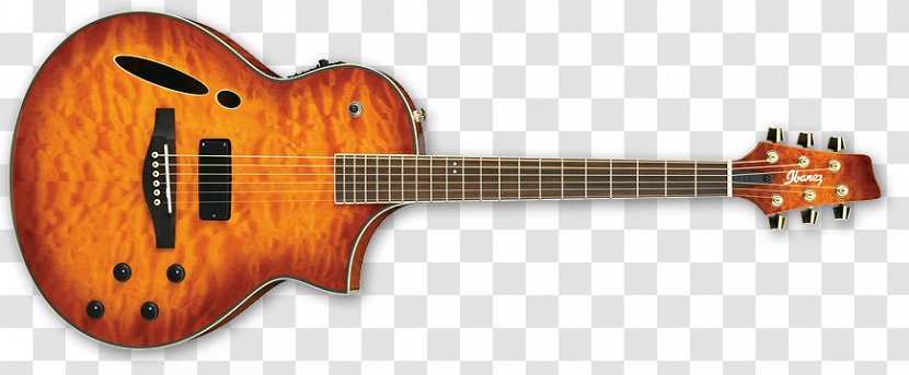 Sunburst ESP Guitars PRS Electric Guitar - Acoustic Poster Transparent PNG