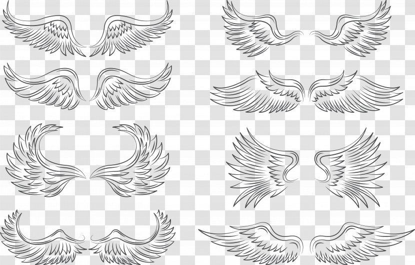 Wing Feather Icon - White - Creative Wings Collection Transparent PNG