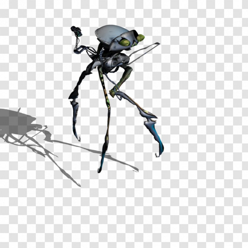 Insect Headgear Line Pest Transparent PNG