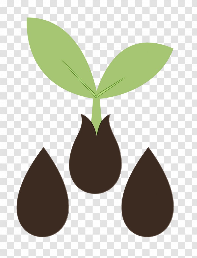 Clip Art Vector Graphics Seed Image - Plant - Plants Transparent PNG