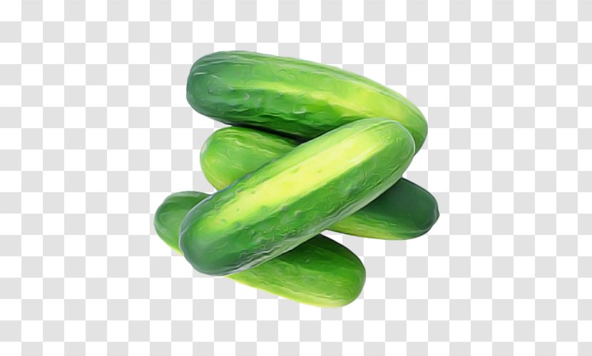 Green Cucumber Vegetable Cucumis Plant - Gourd And Melon Family - Spreewald Gherkins Food Transparent PNG