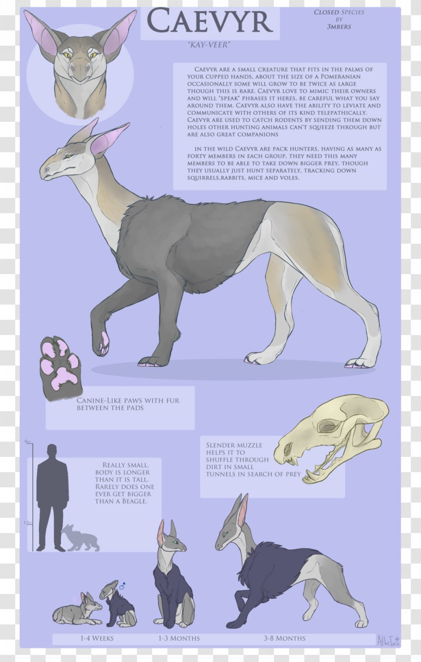 Horse Canidae Macropodidae Dog Species - Howto Transparent PNG
