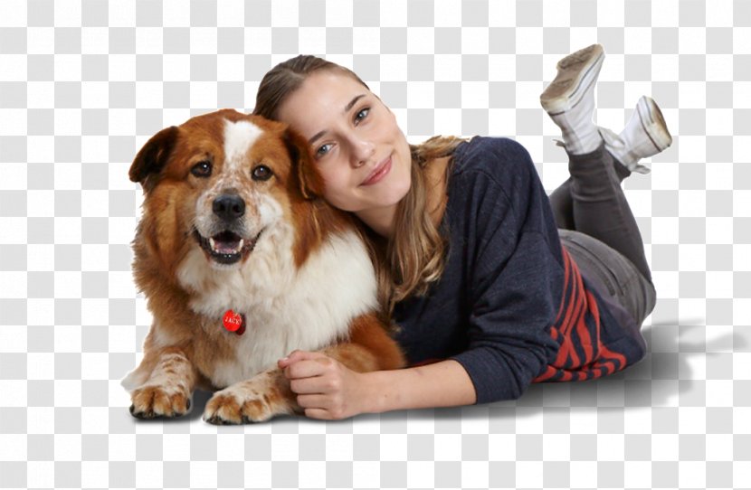 Dog Breed Puppy Companion Fluralaner - Tick Transparent PNG